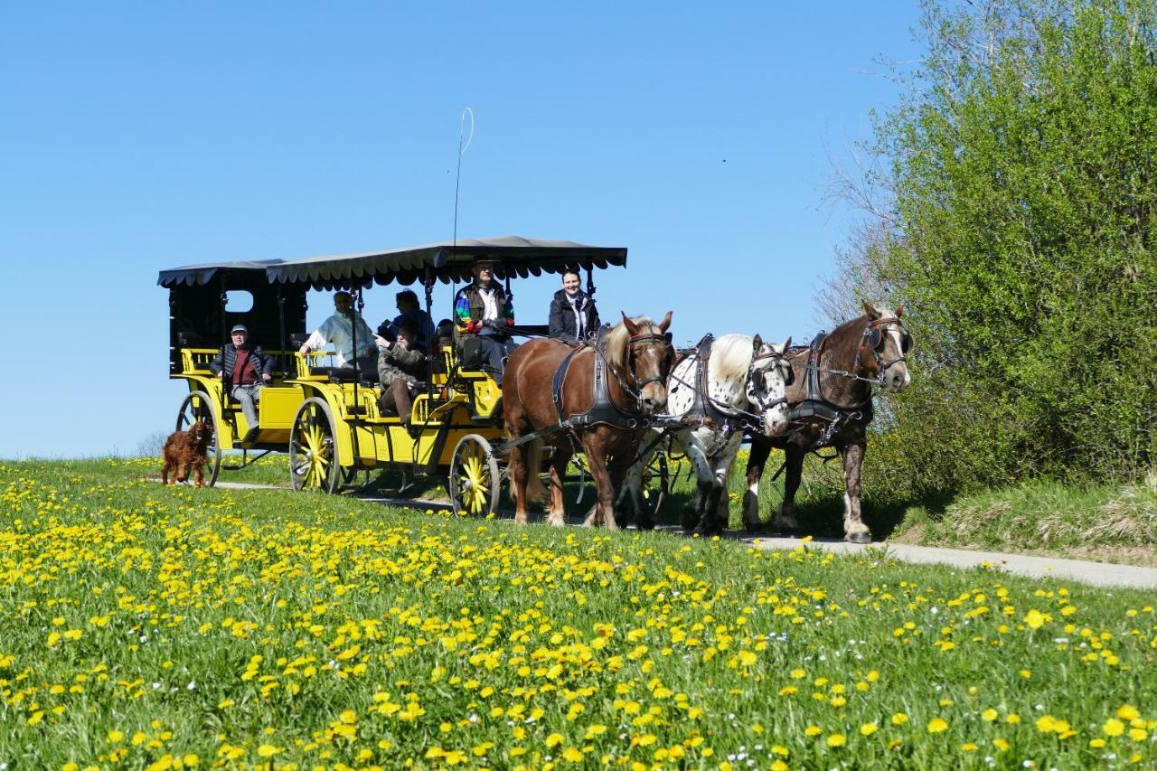 Hotel Alpenhof Bad Wörishofen Εξωτερικό φωτογραφία